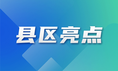 浦西街道跑出聚才“加速度”