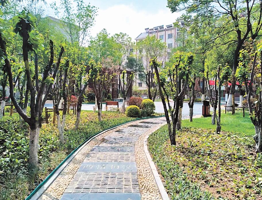 深读 | 口袋公园如何建到百姓心坎上